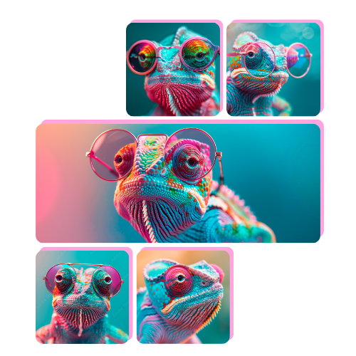 Chammy collage